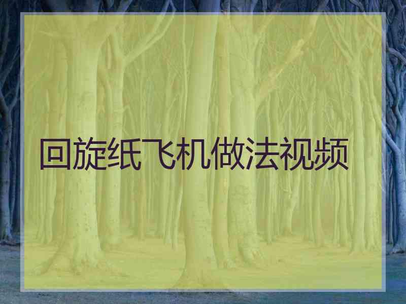 回旋纸飞机做法视频