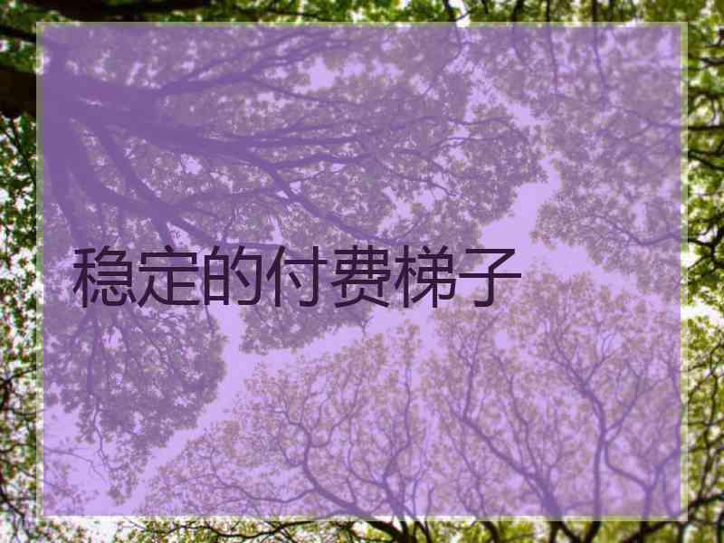 稳定的付费梯子