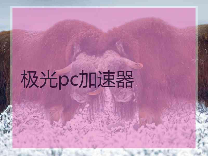 极光pc加速器