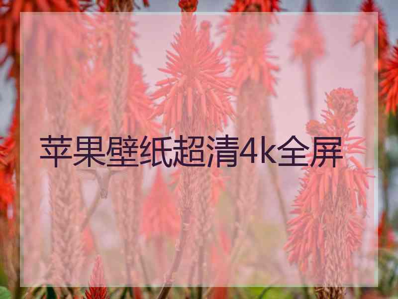 苹果壁纸超清4k全屏