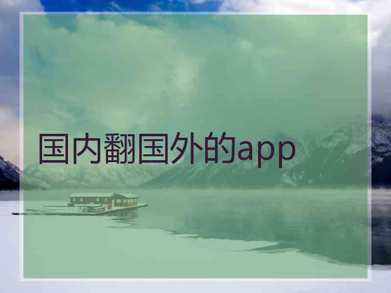 国内翻国外的app