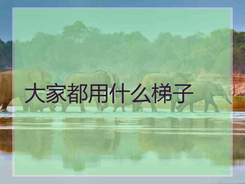 大家都用什么梯子