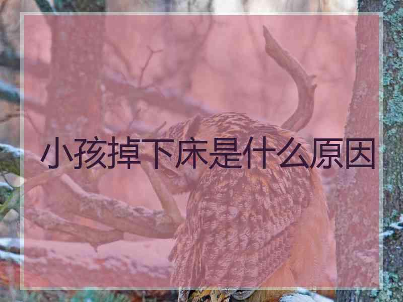 小孩掉下床是什么原因