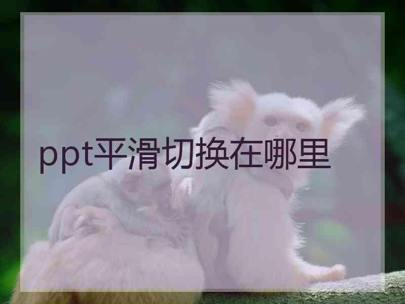 ppt平滑切换在哪里