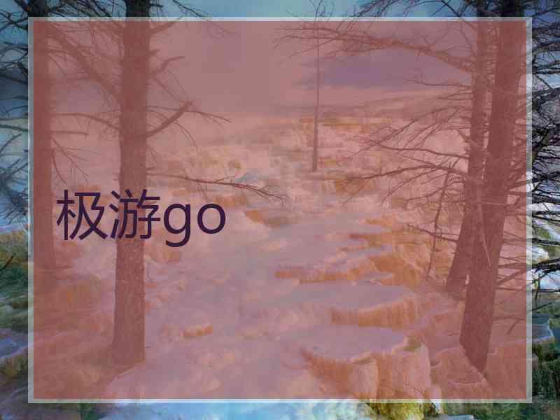 极游go