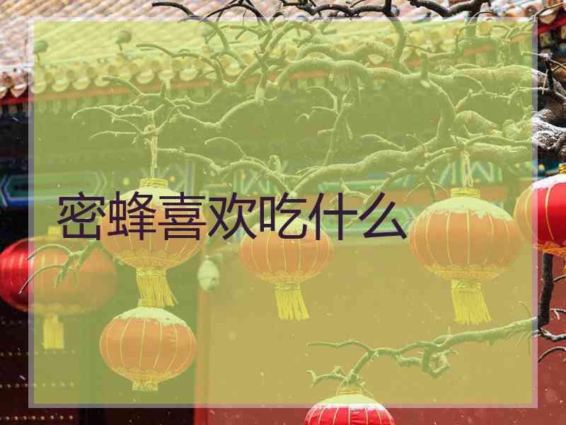 密蜂喜欢吃什么