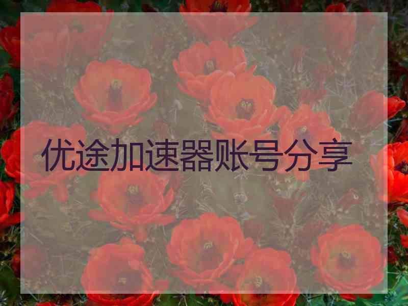 优途加速器账号分享