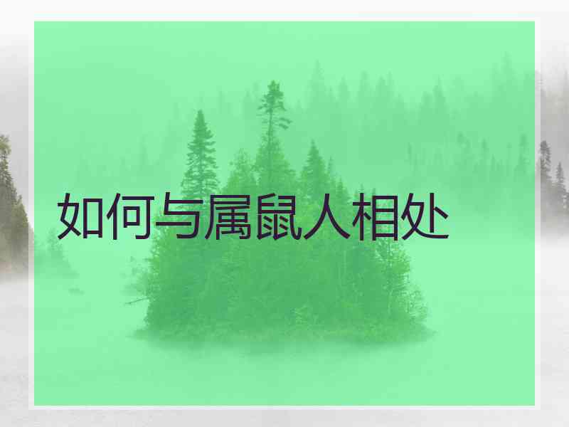 如何与属鼠人相处