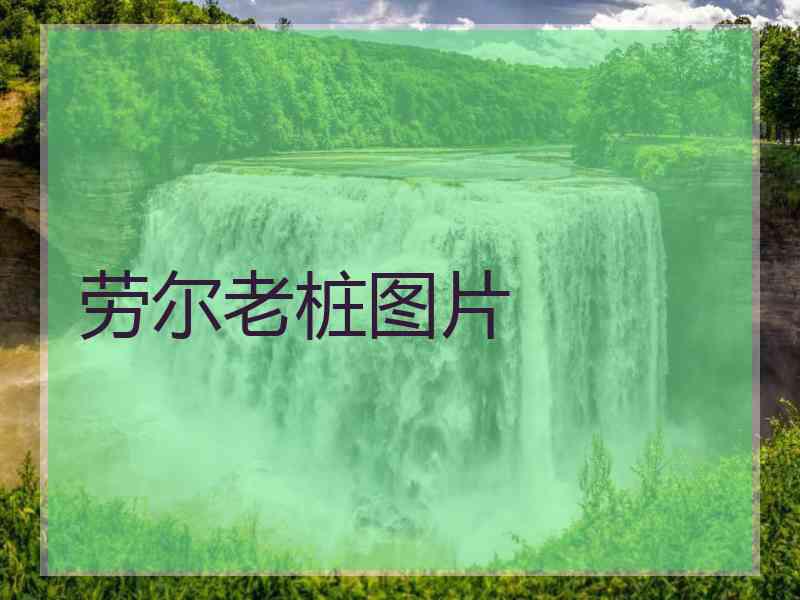 劳尔老桩图片