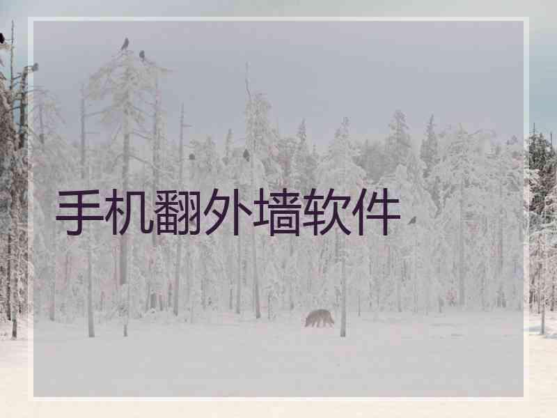 手机翻外墙软件