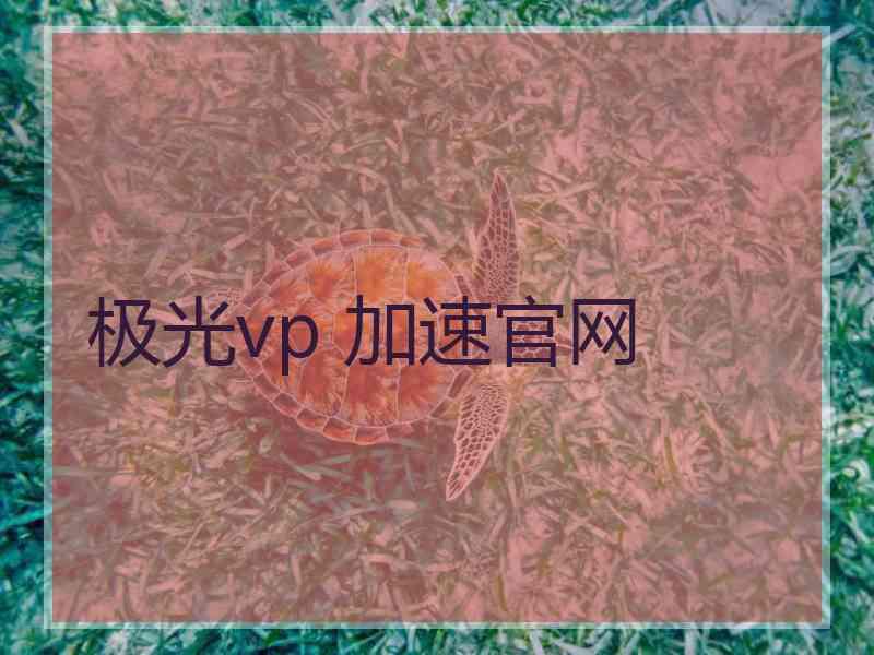 极光vp 加速官网