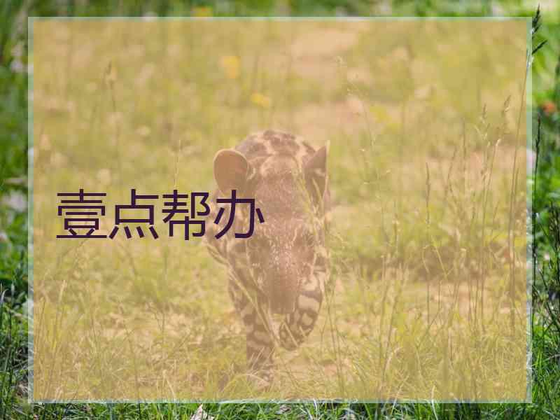 壹点帮办