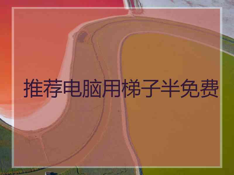推荐电脑用梯子半免费