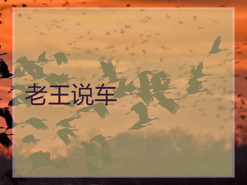 老王说车