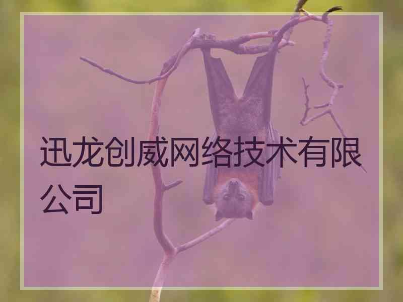 迅龙创威网络技术有限公司