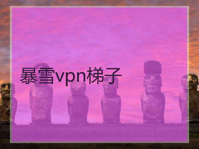 暴雪vpn梯子