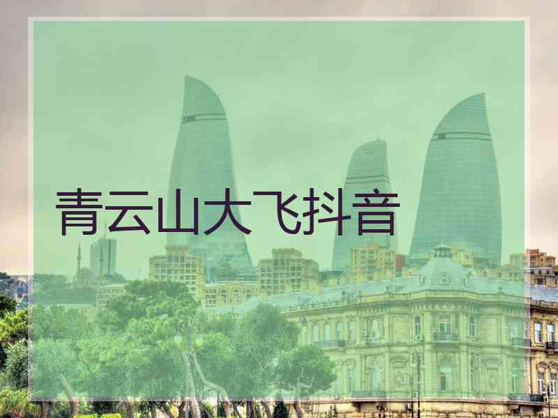 青云山大飞抖音