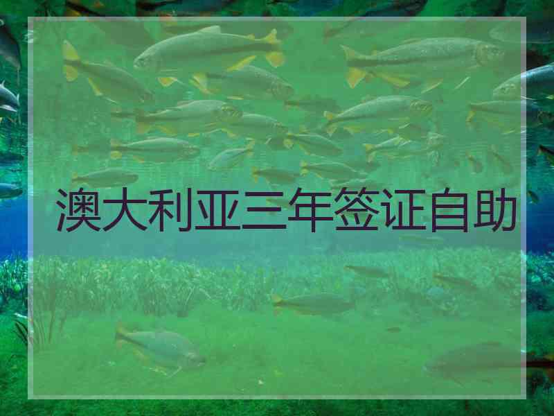澳大利亚三年签证自助