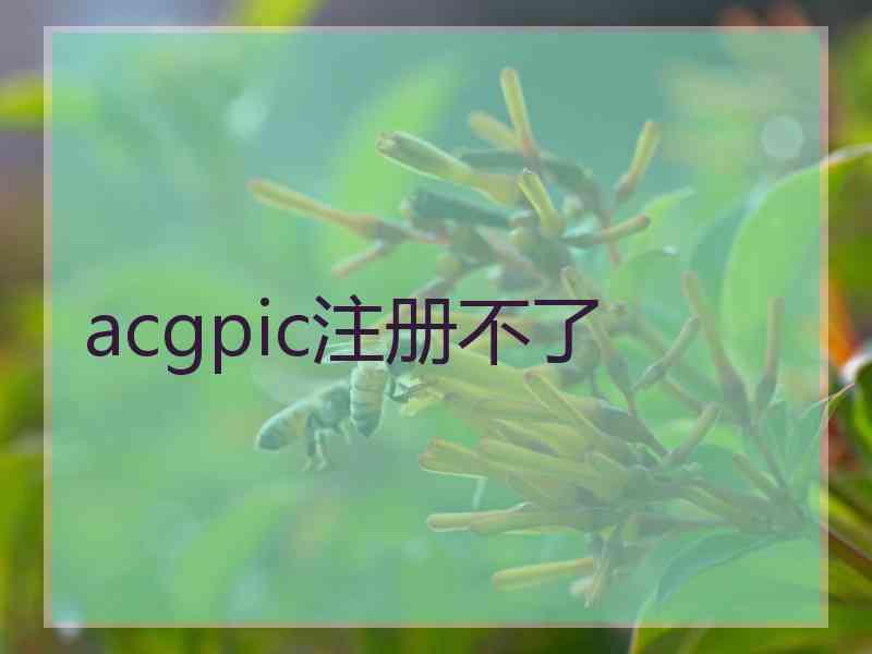 acgpic注册不了