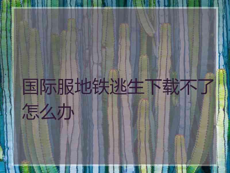 国际服地铁逃生下载不了怎么办