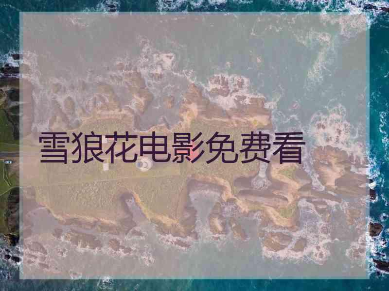 雪狼花电影免费看