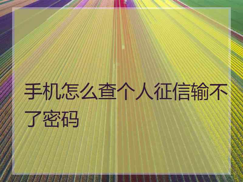 手机怎么查个人征信输不了密码