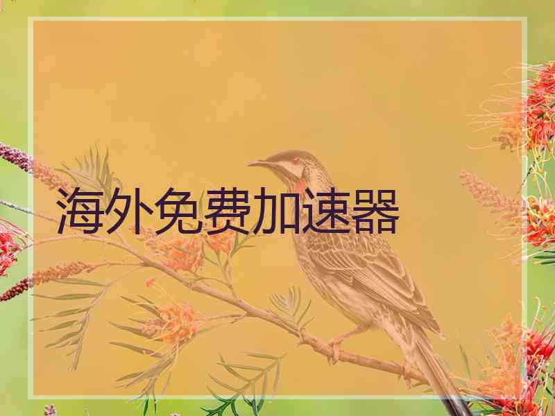 海外免费加速器