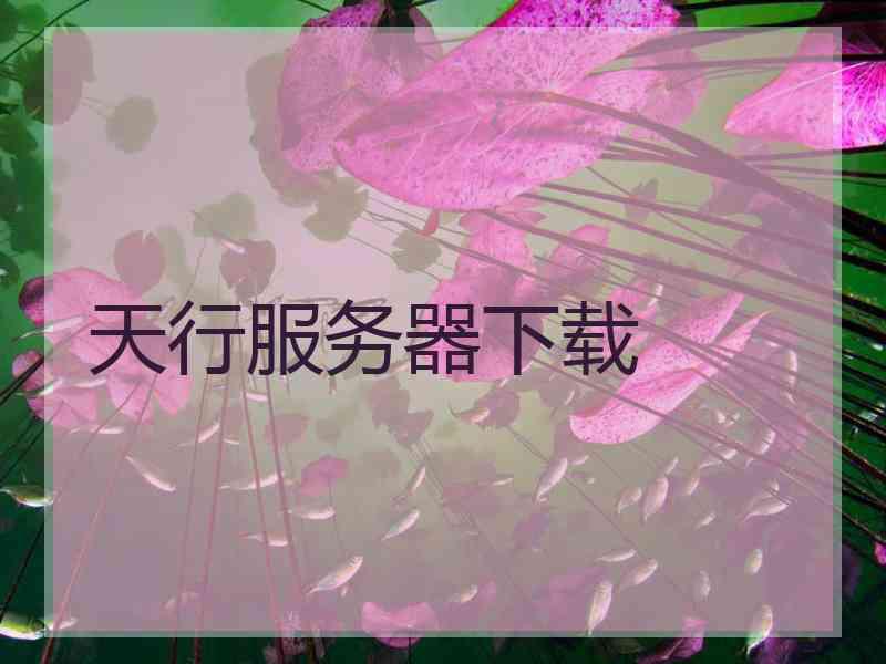 天行服务器下载