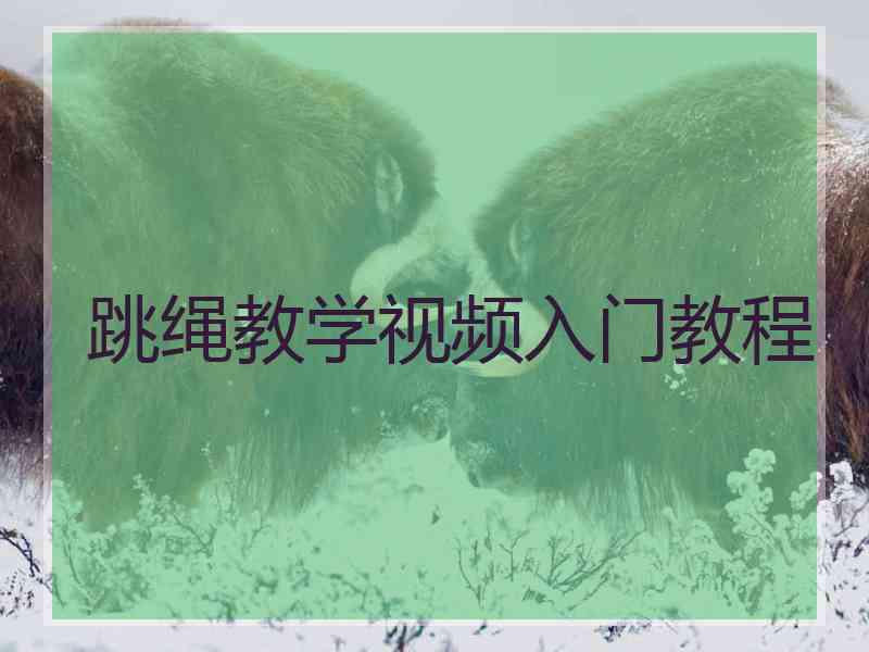跳绳教学视频入门教程