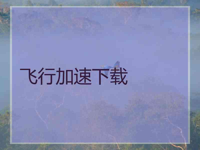 飞行加速下载