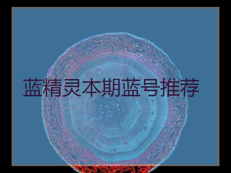 蓝精灵本期蓝号推荐