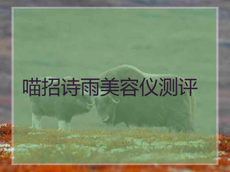 喵招诗雨美容仪测评
