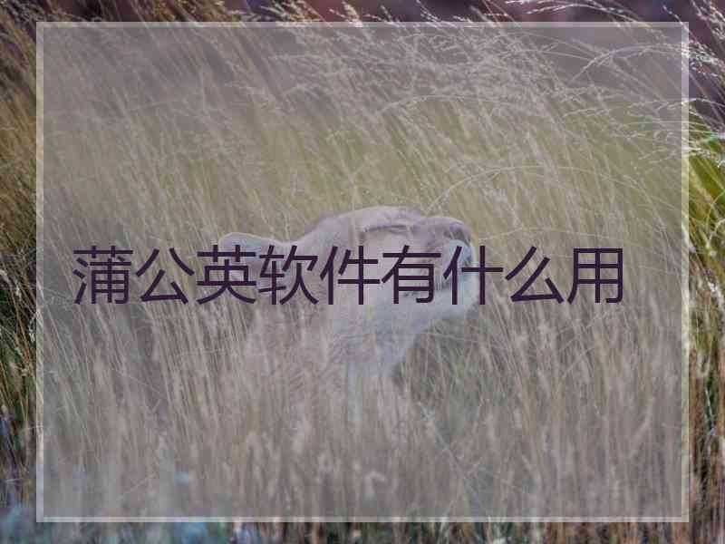 蒲公英软件有什么用