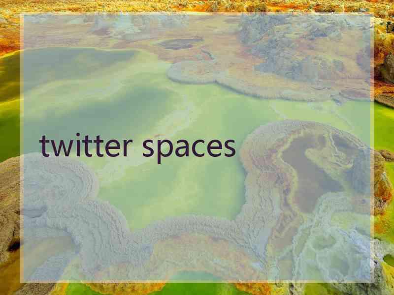 twitter spaces