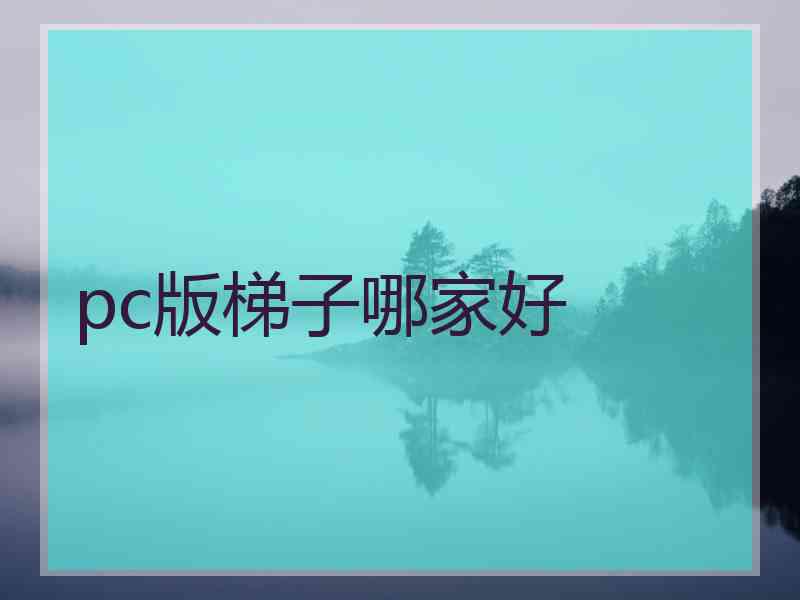 pc版梯子哪家好