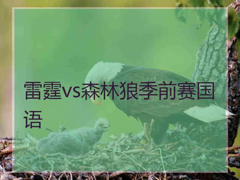 雷霆vs森林狼季前赛国语