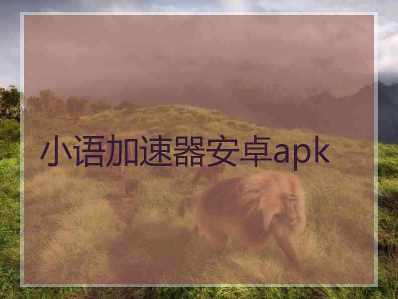 小语加速器安卓apk
