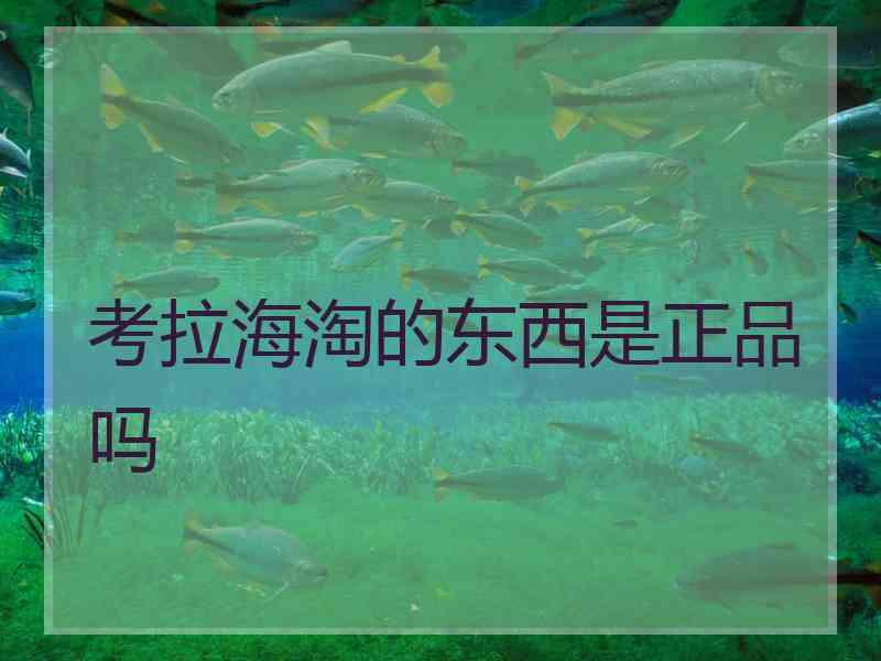 考拉海淘的东西是正品吗