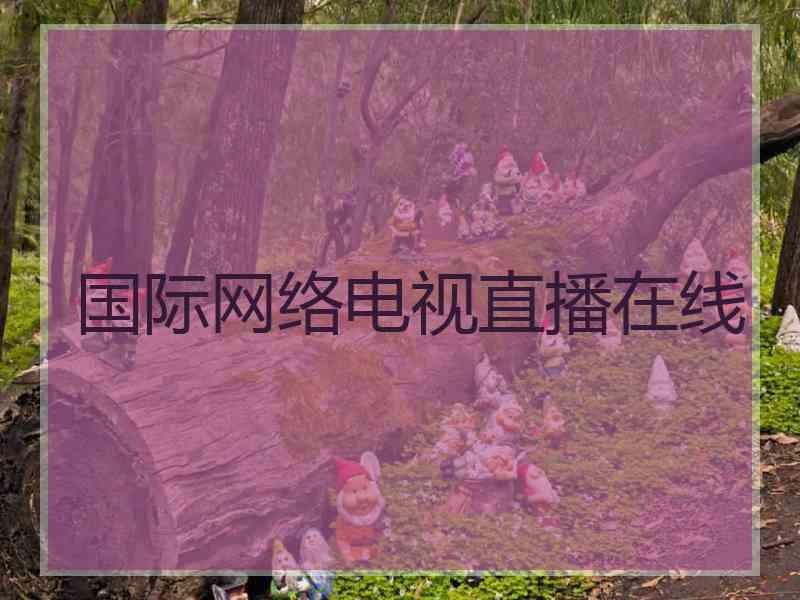 国际网络电视直播在线