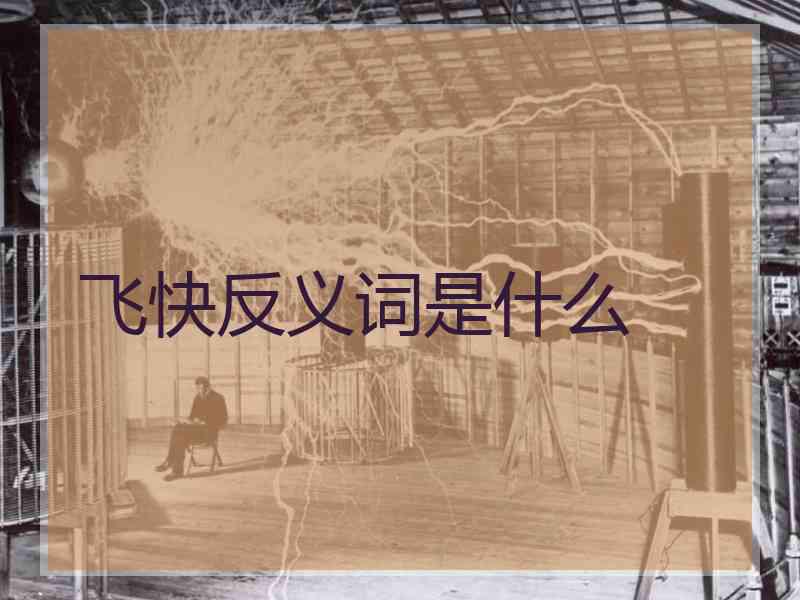 飞快反义词是什么