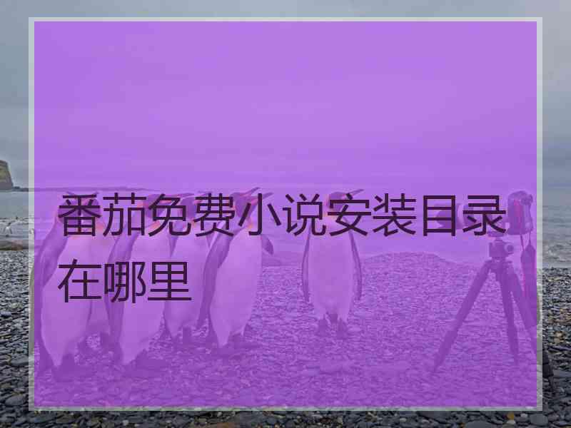 番茄免费小说安装目录在哪里