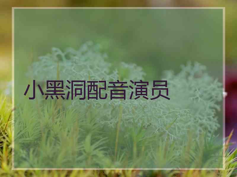 小黑洞配音演员