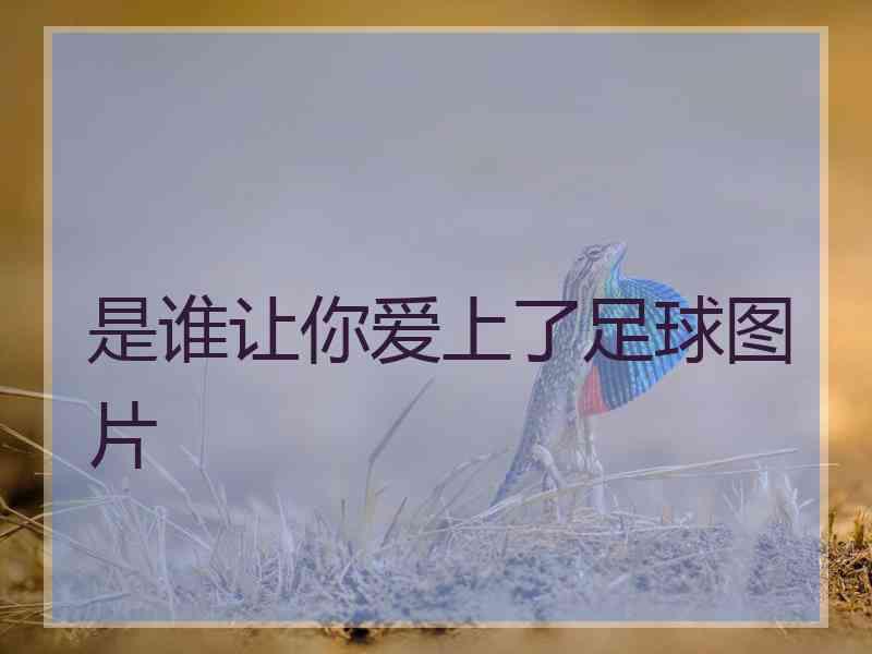 是谁让你爱上了足球图片
