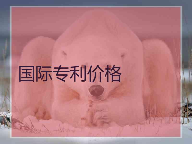国际专利价格
