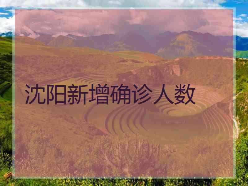 沈阳新增确诊人数