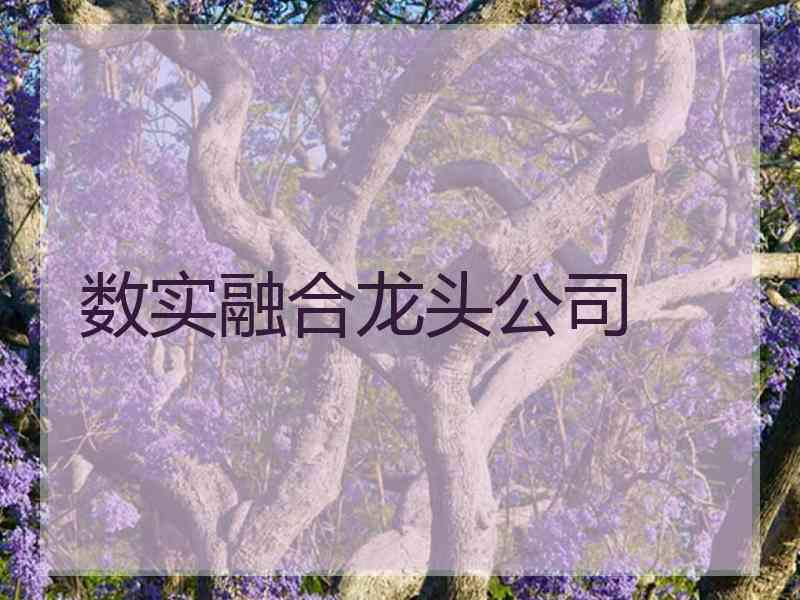 数实融合龙头公司