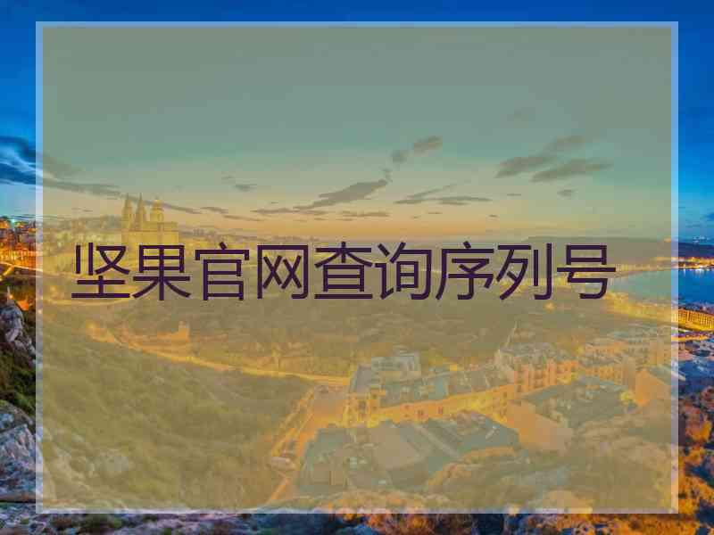 坚果官网查询序列号