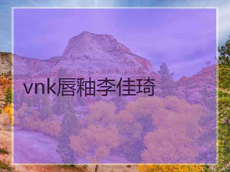 vnk唇釉李佳琦