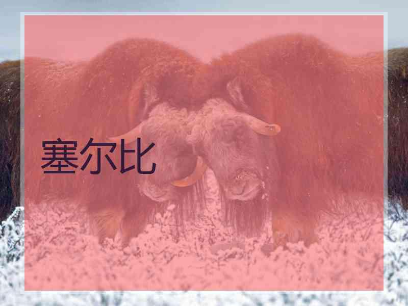 塞尔比