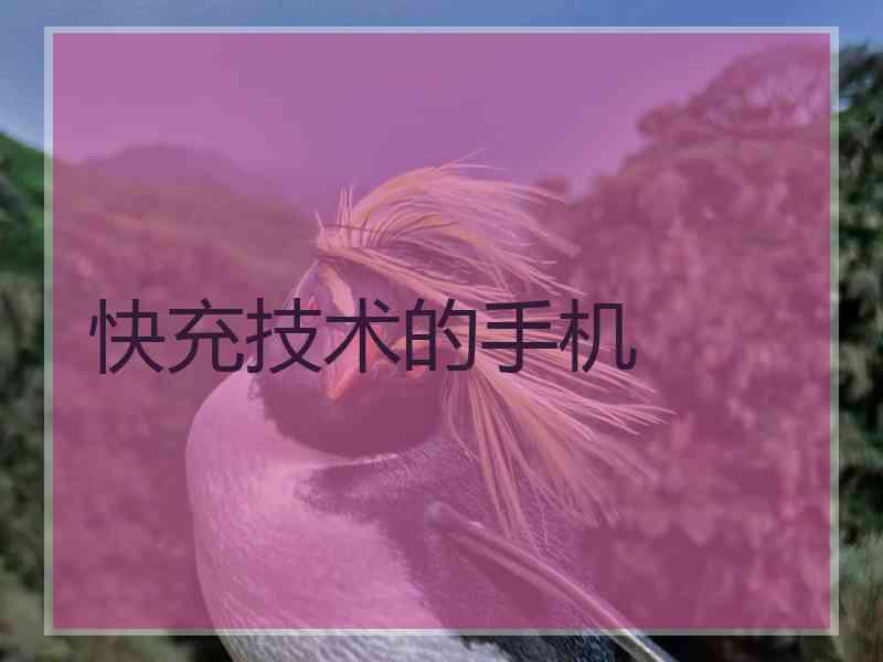 快充技术的手机
